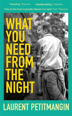 What You Need From The Night by Laurent Petitmangin