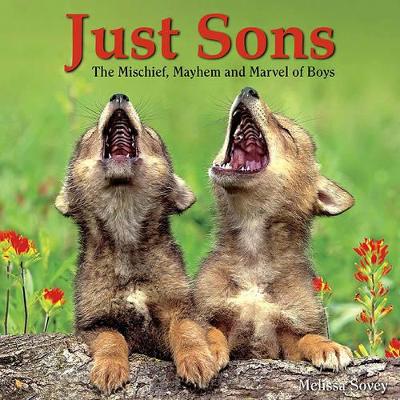 Just Sons: The Mischief, Mayhem and Marvel of Boys book