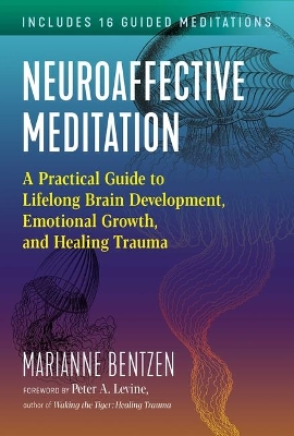 Neuroaffective Meditation: A Practical Guide to Lifelong Brain Development, Emotional Growth, and Healing Trauma book
