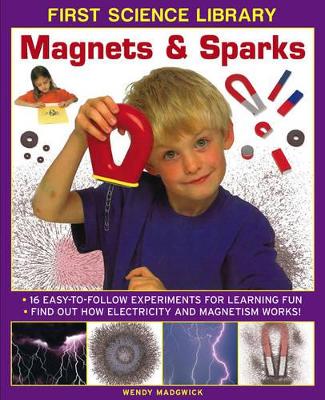 First Science Library: Magnets & Sparks book