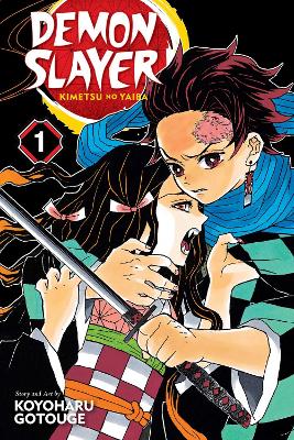 Demon Slayer: Kimetsu no Yaiba, Vol. 1 book