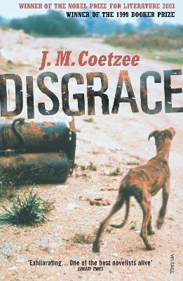Disgrace book