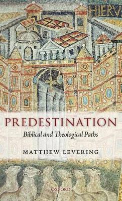 Predestination: Biblical and Theological Paths book