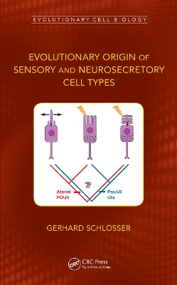 Evolutionary Origin of Sensory and Neurosecretory Cell Types: Vertebrate Cranial Placodes, volume 2 by Gerhard Schlosser