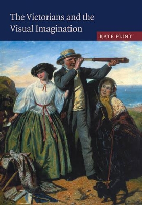 Victorians and the Visual Imagination book