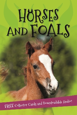 It's all about... Horses and Foals book