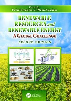 Renewable Resources and Renewable Energy: A Global Challenge, Second Edition by Paolo Fornasiero