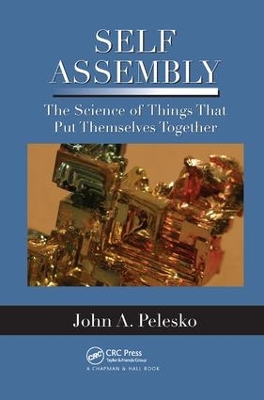 Self Assembly by John A. Pelesko