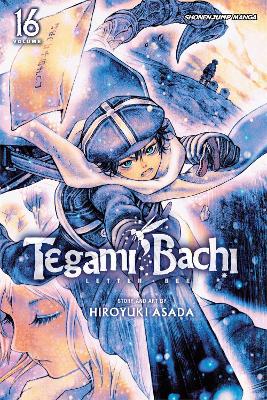 Tegami Bachi, Vol. 16 book