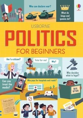 Politics for Beginners book