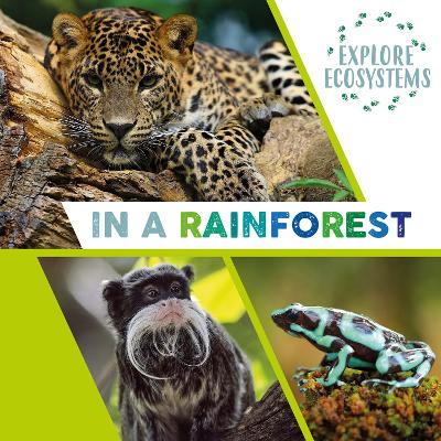 Explore Ecosystems: In a Rainforest book