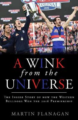 Wink from the Universe book