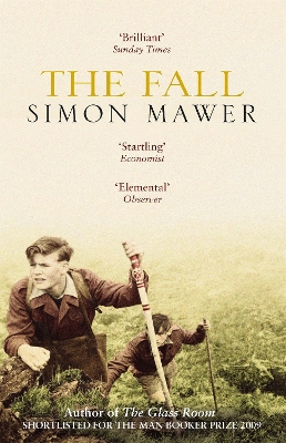 The Fall by Simon Mawer