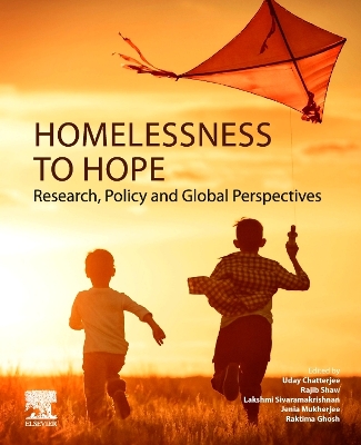 Homelessness to Hope: Research, Policy and Global Perspectives book