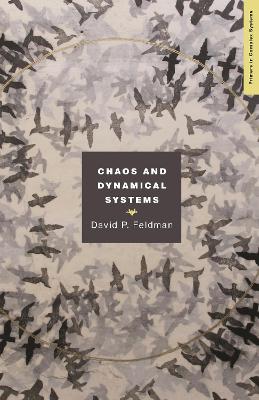 Chaos and Dynamical Systems book