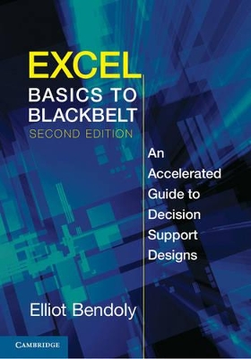 Excel Basics to Blackbelt book