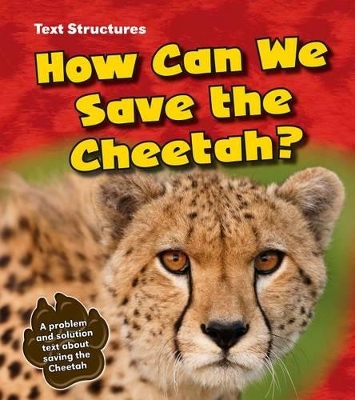 How Can We Save the Cheetah? book