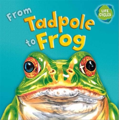 From Tadpole to Frog book