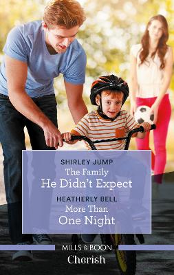 The Family He Didn't Expect/More than One Night book