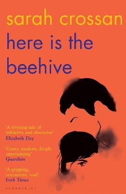 Here is the Beehive: Shortlisted for Popular Fiction Book of the Year in the AN Post Irish Book Awards book