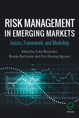 Risk Management in Emerging Markets book