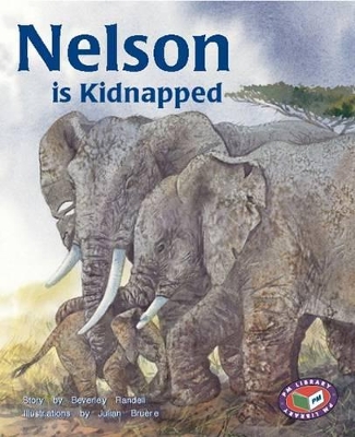 Nelson is Kidnapped by Beverley Randell
