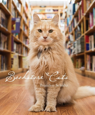 Bookstore Cats book