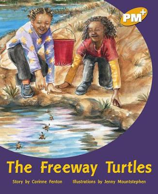 The Freeway Turtles book