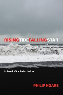 Risingtidefallingstar by Philip Hoare