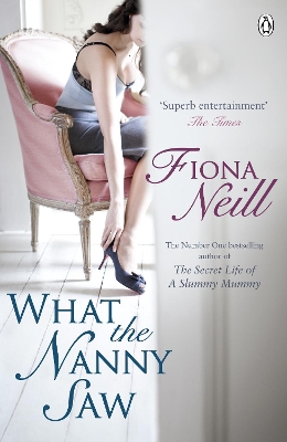 What the Nanny Saw book