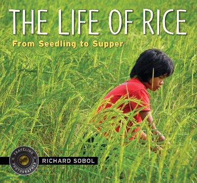 Life Of Rice: From Seedling To Supper book
