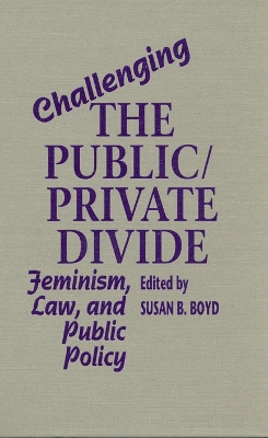 Challenging the Public/Private Divide book