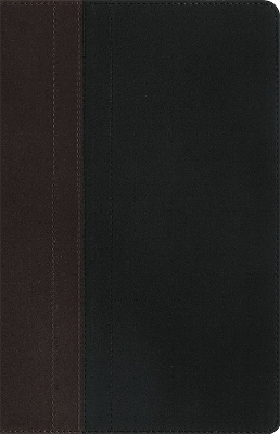 NIV Study Bible Brown/Tan Duo-Tone Personal Size book