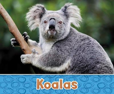 Koalas by Sara Louise Kras