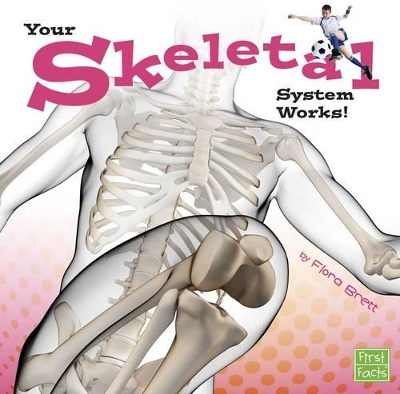 Your Skeletal System Works! book
