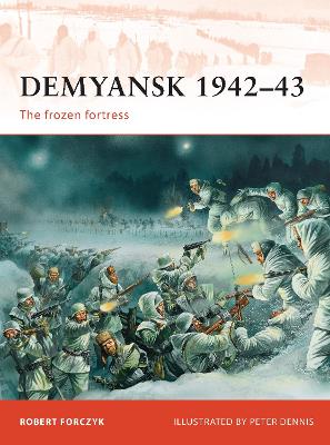 Demyansk 1942-43 book