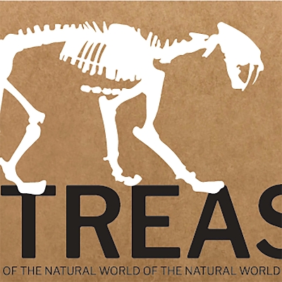 Treasures of the Natural World book