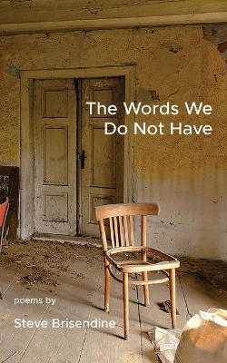 The Words We Do Not Have book