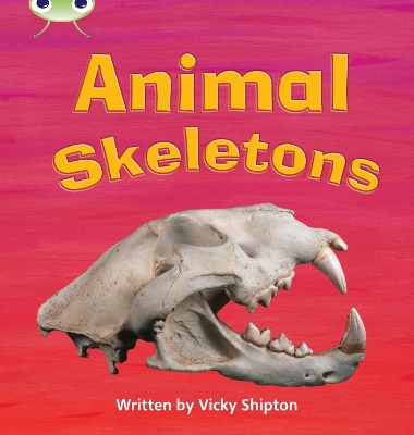 Animal Skeletons book