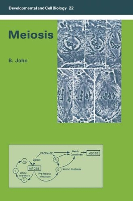Meiosis by Bernard John