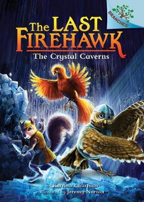Crystal Caverns book