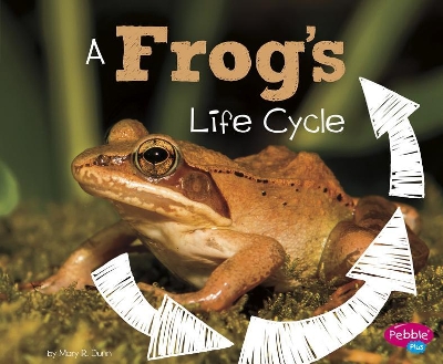 A Frog's Life Cycle by Mary R. Dunn