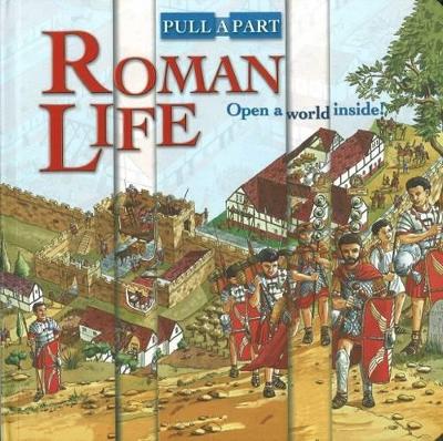 Roman Life book