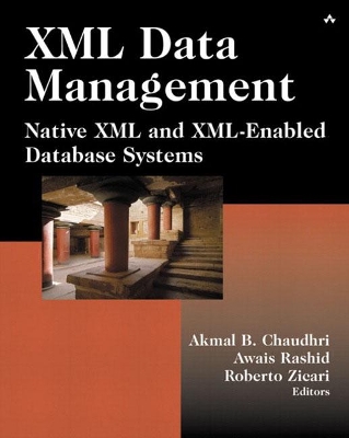 XML Data Management book