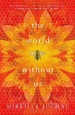 World Without Us book