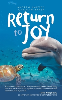 Return to Joy book