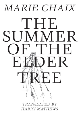 Summer of the Elder Tree book