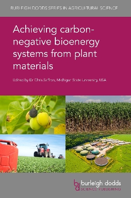 Achieving Carbon-Negative Bioenergy Systems from Plant Materials book