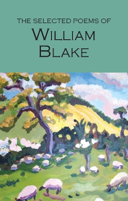 Selected Poems of William Blake book