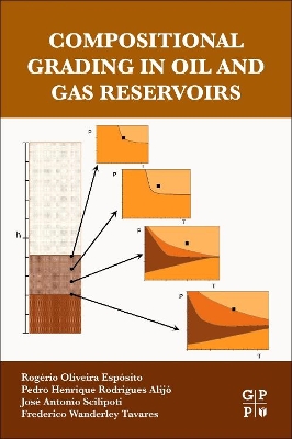 Compositional Grading in Oil and Gas Reservoirs book